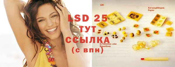 PSILOCYBIN Навашино