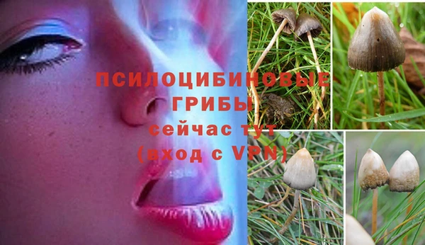 Альфа ПВП Надым