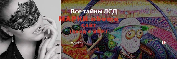 PSILOCYBIN Навашино