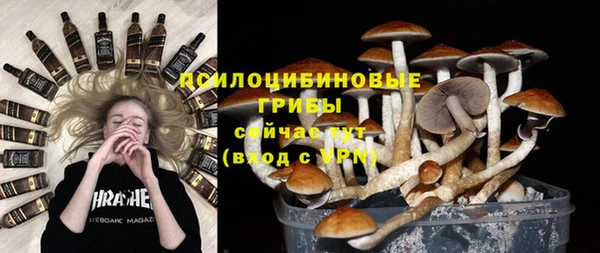 PSILOCYBIN Навашино