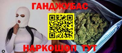 сатива Гатчина