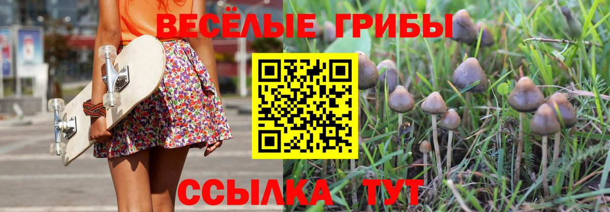 Псилоцибиновые грибы GOLDEN TEACHER  Новоалександровск 