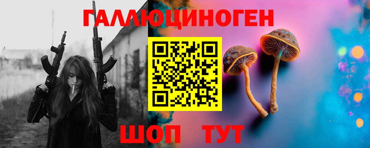 купить наркотик  Галлюциногенные грибы ЛСД  Вход с VPN  Галлюциногенные грибы Psilocybe  Новоалександровск 